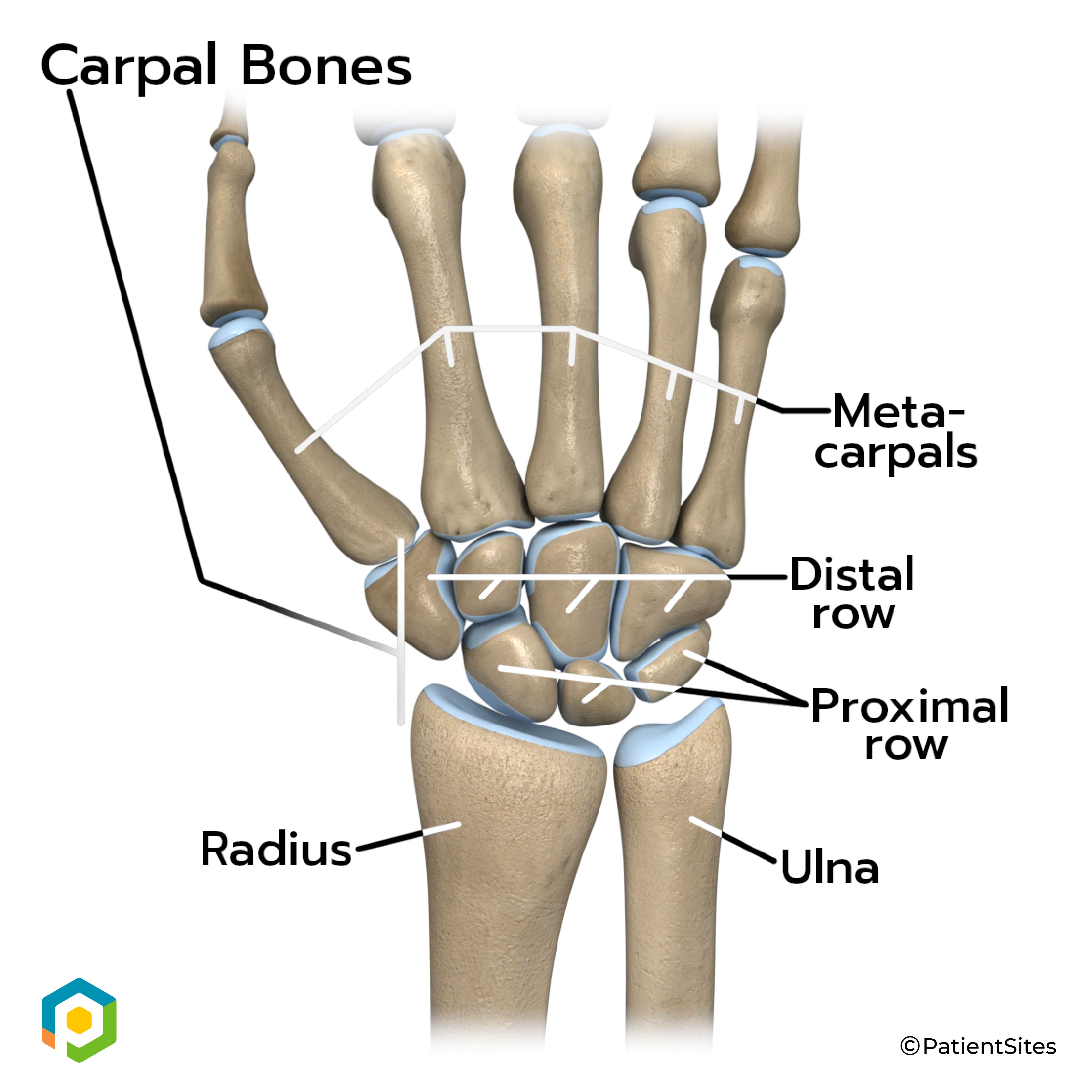Physical Therapy In Fremont Carbon And Sweetwater Counties For Wrist Physical Therapy In Fremont Carbon And Sweetwater Counties For Wrist